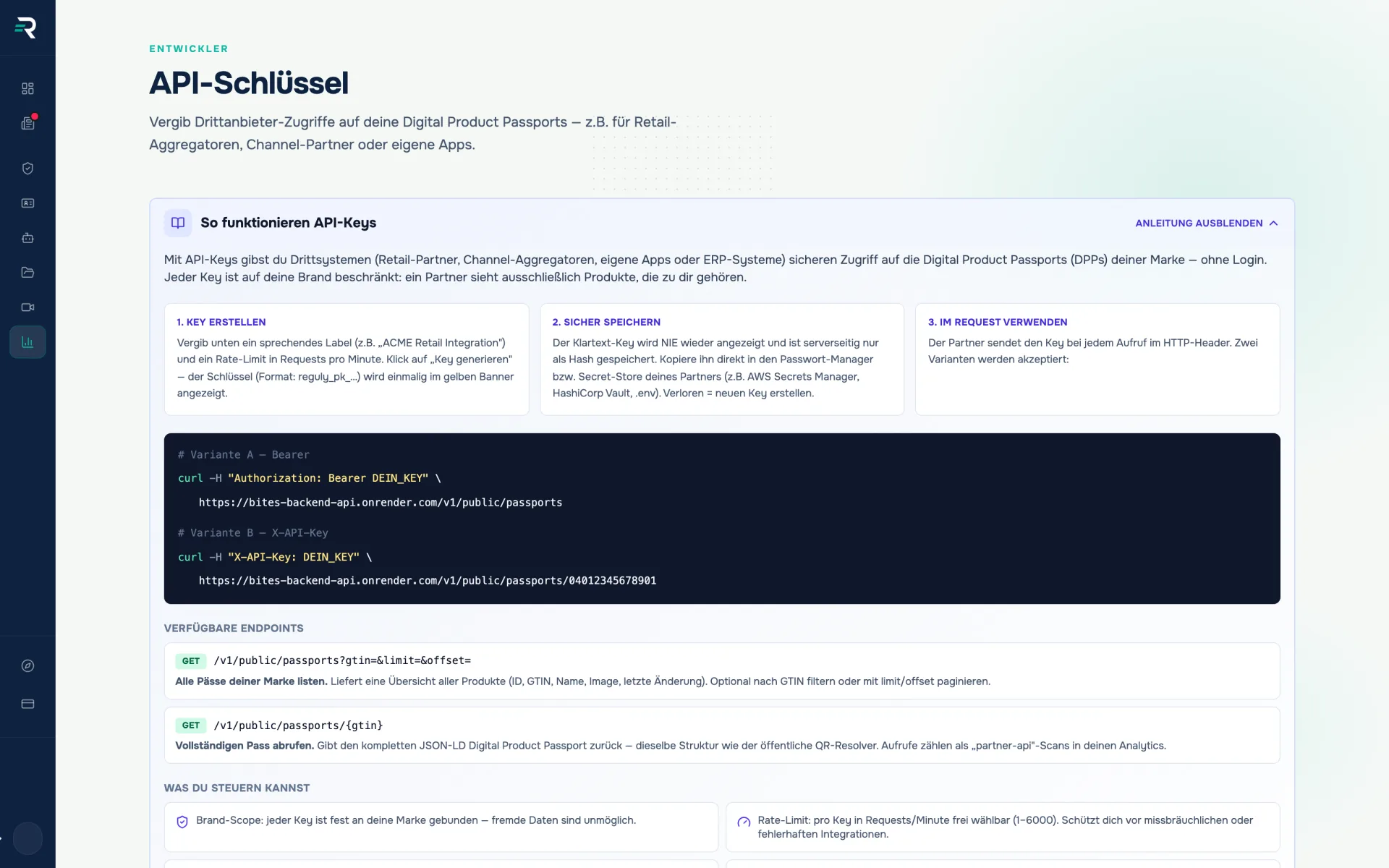 Built-in API guide in Reguly with curl examples for the Bearer and X-API-Key headers and the available passport endpoints
