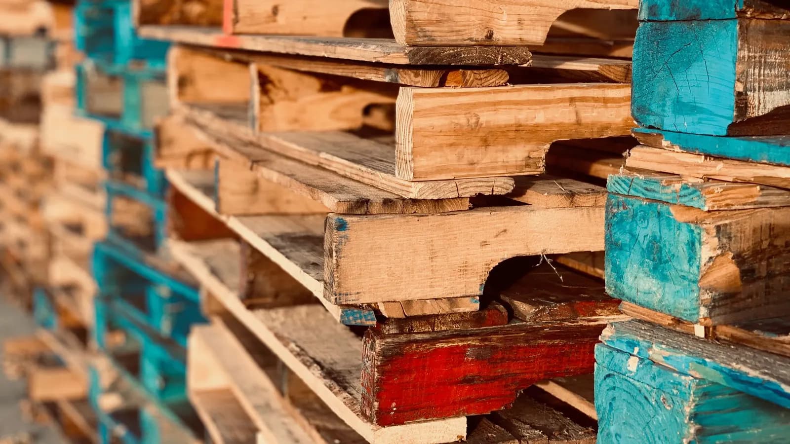 Stacked wooden pallets in natural wood, blue and red in sunlight — representing the European wooden pallet industry
